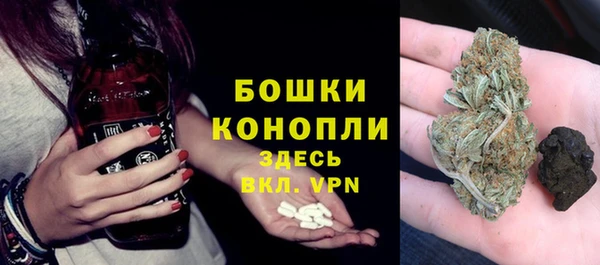 прущие грибы Балабаново