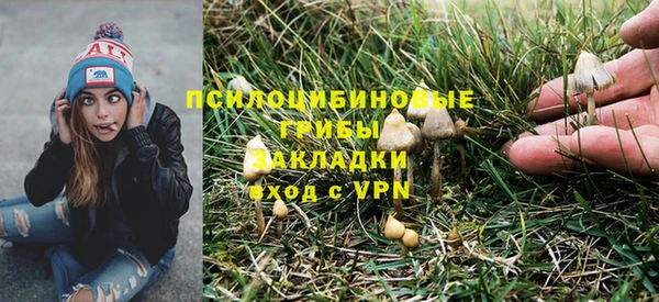 прущие грибы Балабаново