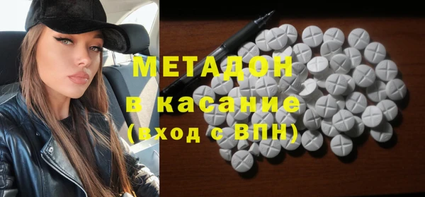 прущие грибы Балабаново