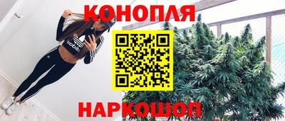 крисы Владимир