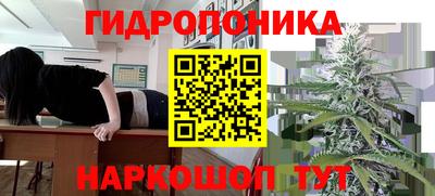 крисы Владимир