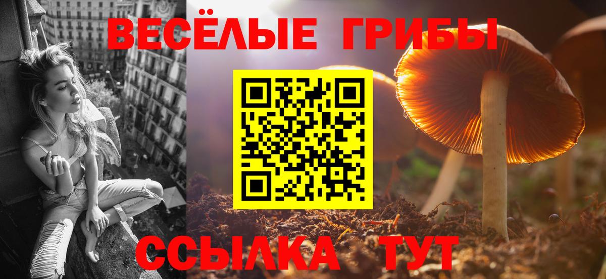 Киреевск  Галлюциногенные грибы прущие грибы  Вход с VPN 
