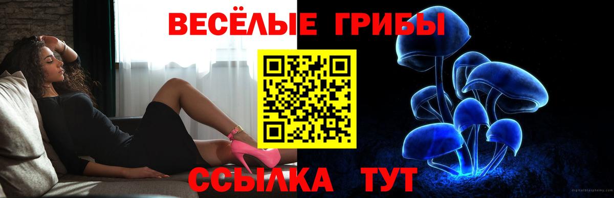 ГАШ  ГАШИШ  Киреевск  МЕФ   Вход с VPN  Героин  МАРИХУАНА  Cocaine 